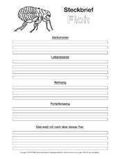 Floh-Steckbriefvorlage-sw.pdf